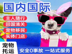 王村航空货运国际宠物托运 【国